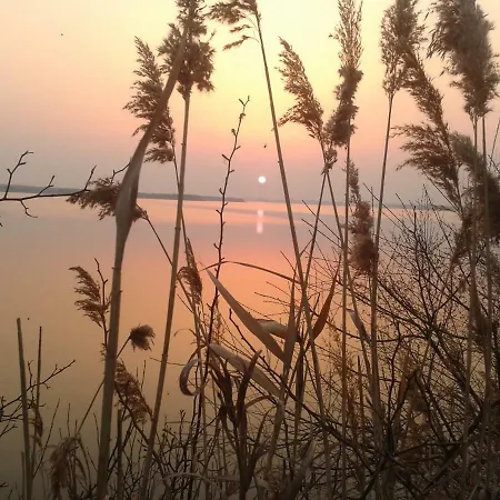 Apartment Appartementhaus Schöni *